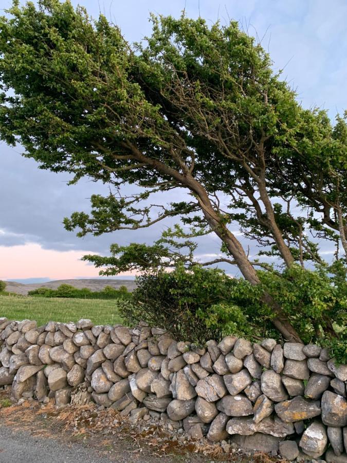 Burren Court Lodge Ballyvaughan Kültér fotó