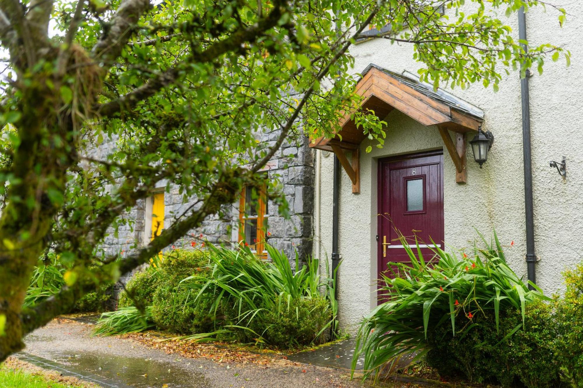 Burren Court Lodge Ballyvaughan Kültér fotó